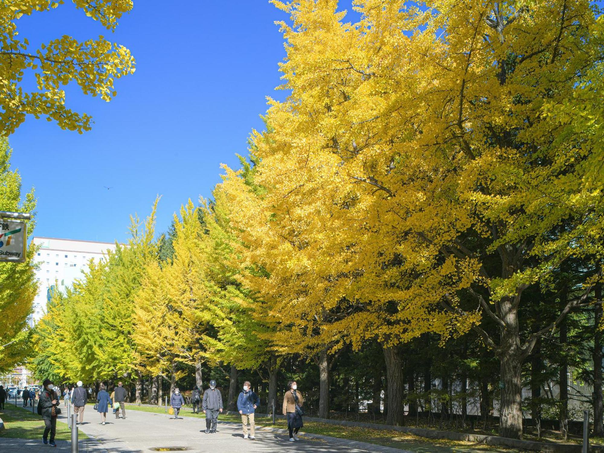 Vessel Inn Sapporo Nakajima Park Εξωτερικό φωτογραφία